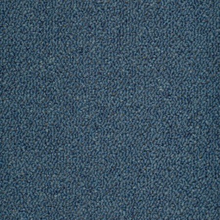 Blue carpet hotsell