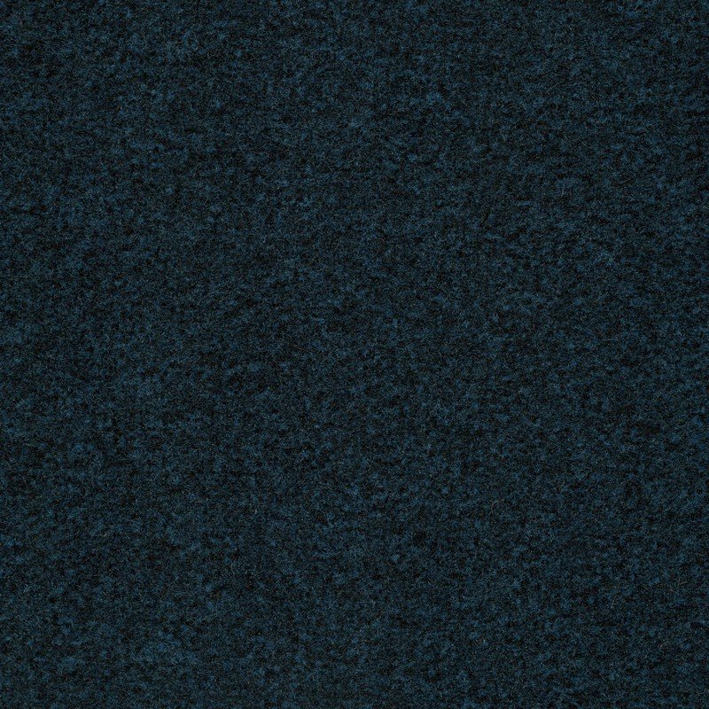 Dark blue best sale carpet