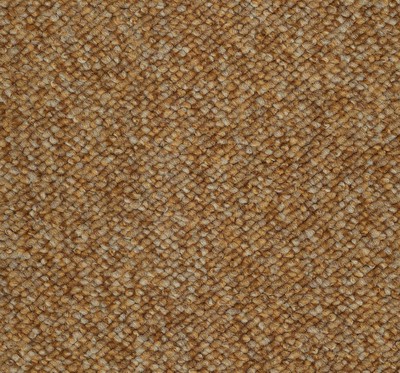 Golden Beige Carpet Tiles a Structured Nylon Loop Tile