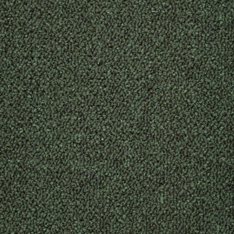 Dark hotsell green carpet