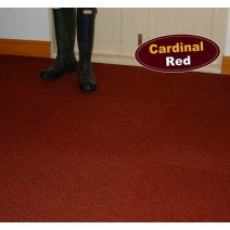 Cardinal Red Carpet Tile on the floor