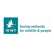 Saving Wetlands Logo