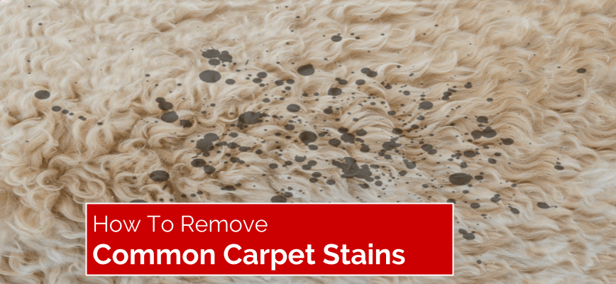 How To Easily Remove Common Carpet Stains